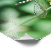 Eastern Pondhawk Dragonfly print Foto Afdruk (Hoek)