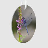 Eastern Pondhawk Ornament (voorkant)