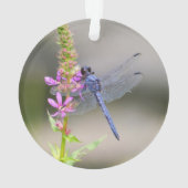 Eastern Pondhawk Ornament (achterkant)