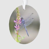 Eastern Pondhawk Ornament (voorkant)