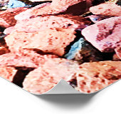 Eastern Rat Snake Poster (Hoek)