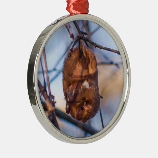Eastern Red Bat Metalen Ornament (Rechts)