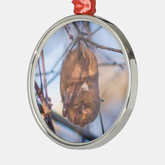 Eastern Red Bat Metalen Ornament (Links)