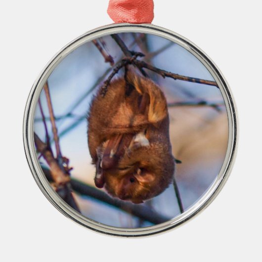 Eastern Red Bat Metalen Ornament (Voorkant)