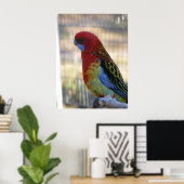 Eastern Rosella Parakeet Poster (Thuiskantoor)