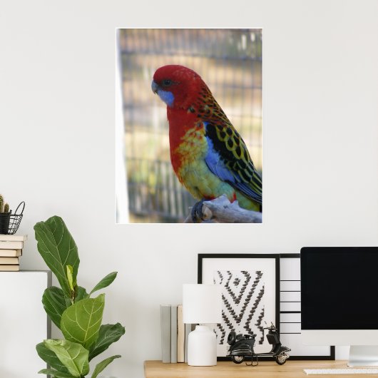 Eastern Rosella Parakeet Poster (Thuiskantoor)