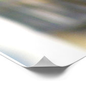 Eastern Rosella Parakeet Poster (Hoek)