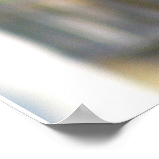 Eastern Rosella Parakeet Poster (Hoek)