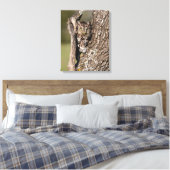 Eastern Screech Owl Canvas Afdruk (Insitu (Slaapkamer))