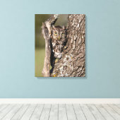 Eastern Screech Owl Canvas Afdruk (Insitu (Houten vloer))