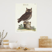 Eastern Screech Owl Catesby Seligman Reproduction Poster (Keuken)