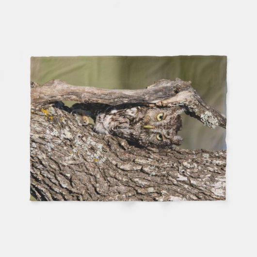 Eastern Screech Owl Fleece Deken (Voorkant (Horizontaal))