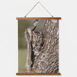Eastern Screech Owl Hangend Wandkleed