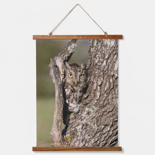 Eastern Screech Owl Hangend Wandkleed (Voorkant)