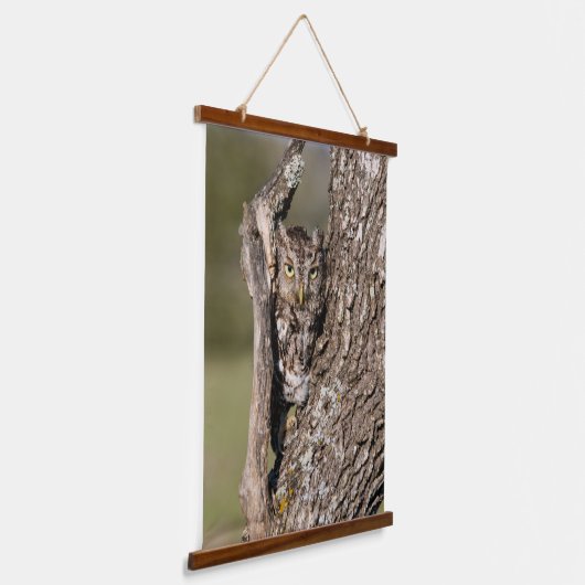 Eastern Screech Owl Hangend Wandkleed (Gebogen)