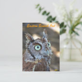 Eastern Screech Owl II Briefkaart (Staand voorkant)