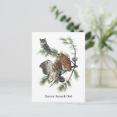 Eastern Screech Owl, John Audubon Briefkaart (Staand voorkant)