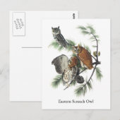 Eastern Screech Owl, John Audubon Briefkaart (Voorkant / Achterkant)
