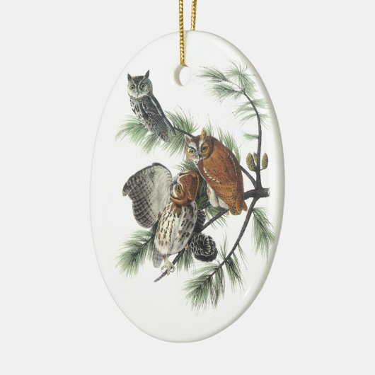 Eastern Screech Owl, John Audubon Keramisch Ornament (Links)