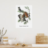 Eastern Screech Owl, John Audubon Poster (Keuken)