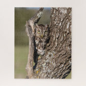 Eastern Screech Owl Legpuzzel (Verticaal)