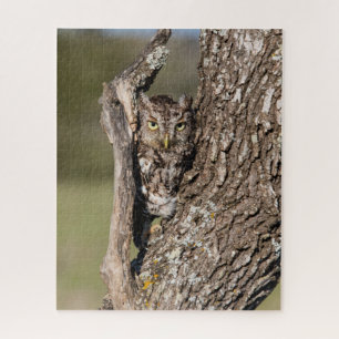 Eastern Screech Owl Legpuzzel