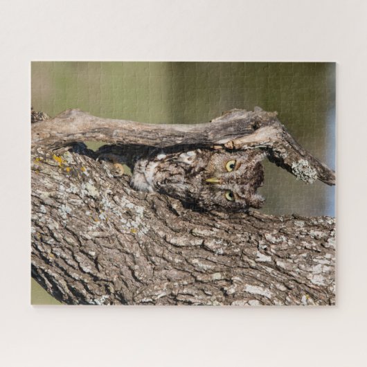 Eastern Screech Owl Legpuzzel (Horizontaal)