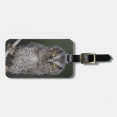 Eastern Screech Owl, Megascop asio, Otus 2 Bagagelabel (Voorkant horizontaal)