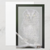 Eastern Screech Owl, Megascop asio, Otus 2 Briefpapier (Voorkant / Achterkant)