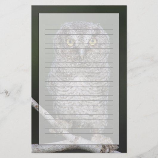 Eastern Screech Owl, Megascop asio, Otus 2 Briefpapier (Voorkant)