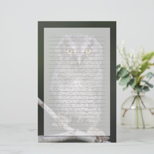 Eastern Screech Owl, Megascop asio, Otus 2 Briefpapier (Staand voorkant)