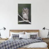Eastern Screech Owl, Megascop asio, Otus 2 Canvas Afdruk (Insitu (Slaapkamer))