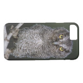 Eastern Screech Owl, Megascop asio, Otus 2 Case-Mate iPhone Case (Achterkant (Horizontaal))