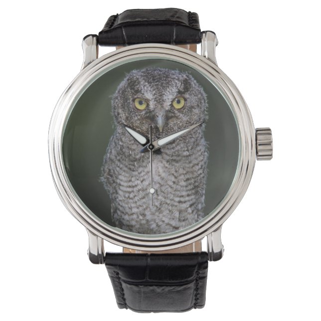 Eastern Screech Owl, Megascop asio, Otus 2 Horloge (Voorkant)