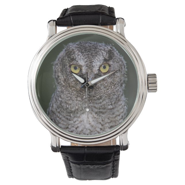 Eastern Screech Owl, Megascop asio, Otus 2 Horloge (Voorkant)