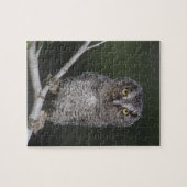 Eastern Screech Owl, Megascop asio, Otus 2 Legpuzzel (Horizontaal)