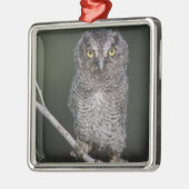 Eastern Screech Owl, Megascop asio, Otus 2 Metalen Ornament (Links)