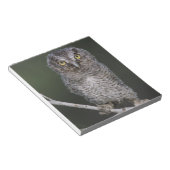 Eastern Screech Owl, Megascop asio, Otus 2 Notitieblok (Schuin)
