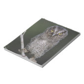 Eastern Screech Owl, Megascop asio, Otus 2 Notitieblok (Linkerzijde)