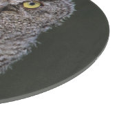 Eastern Screech Owl, Megascop asio, Otus 2 Snijplank (Hoek)