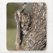 Eastern Screech Owl Muismat (Voorkant)