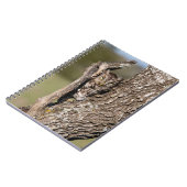 Eastern Screech Owl Notitieboek (Linkerzijde)