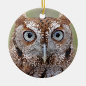Eastern Screech Owl Photography Ornament (Voorkant)