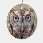 Eastern Screech Owl Photography Ornament (Links)