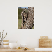 Eastern Screech Owl Poster (Keuken)
