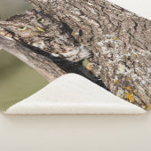 Eastern Screech Owl Sherpa Deken (3/4)