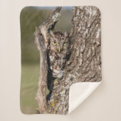 Eastern Screech Owl Sherpa Deken (Voorkant)