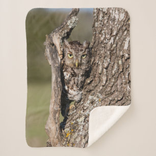 Eastern Screech Owl Sherpa Deken