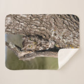 Eastern Screech Owl Sherpa Deken (Voorkant (horizontaal))
