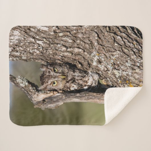 Eastern Screech Owl Sherpa Deken (Voorkant (horizontaal))